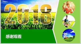 2018互聯(lián)網(wǎng)+農(nóng)副產(chǎn)品市場(chǎng)推廣企業(yè)營銷策劃方案